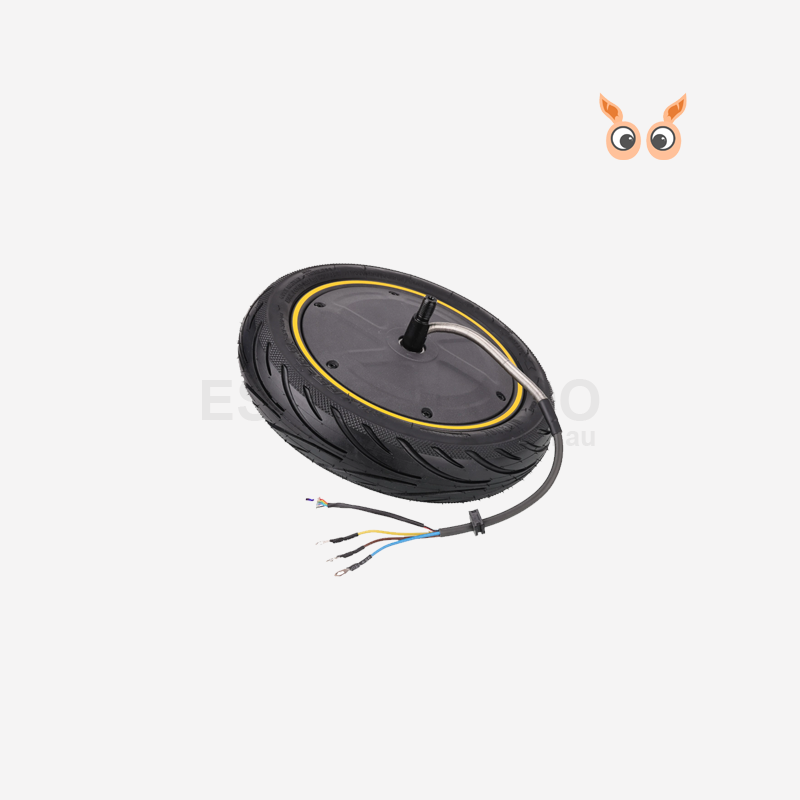 Max G65 Wheel Hub Motor Assembly