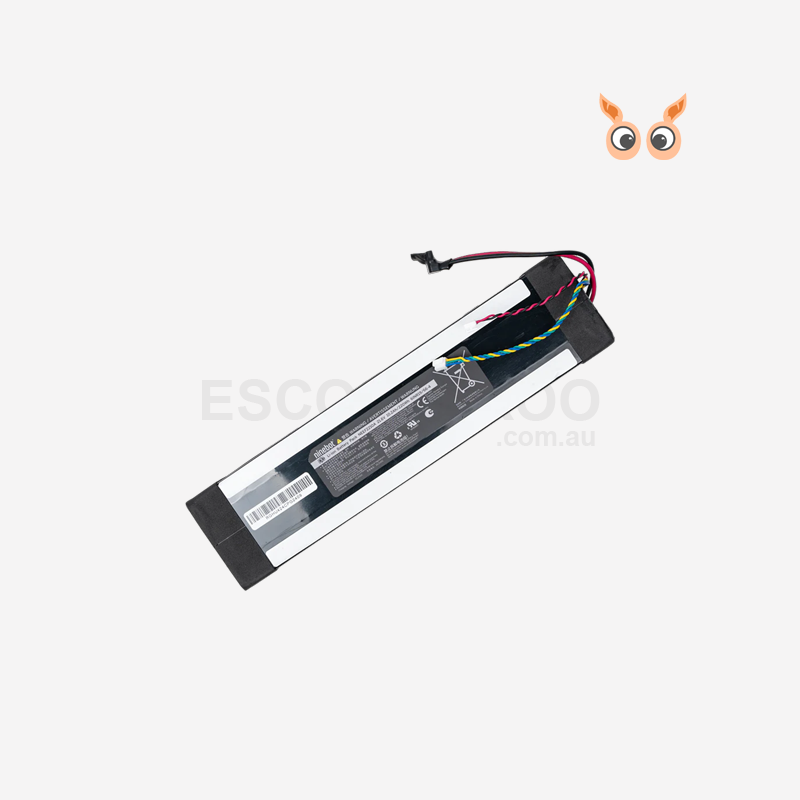 Segway Ninebot E2 Battery Assembly