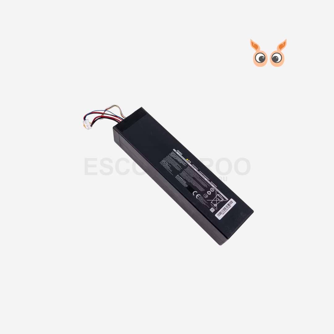 E3/E3 Pro Battery Assembly