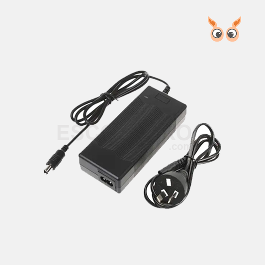 Electric Scooter Battery Charger 42V For Xiaomi, Segway Scooter